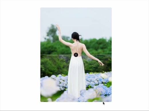 ravikatiyar162-image-comparison-slider-vertical